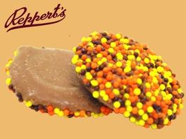Repperts Fall Peanut Butter Nonpareils 1Lb